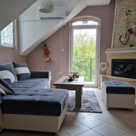 Apartman Alex Lux Appartement Vrnjačka Banja Buitenkant foto